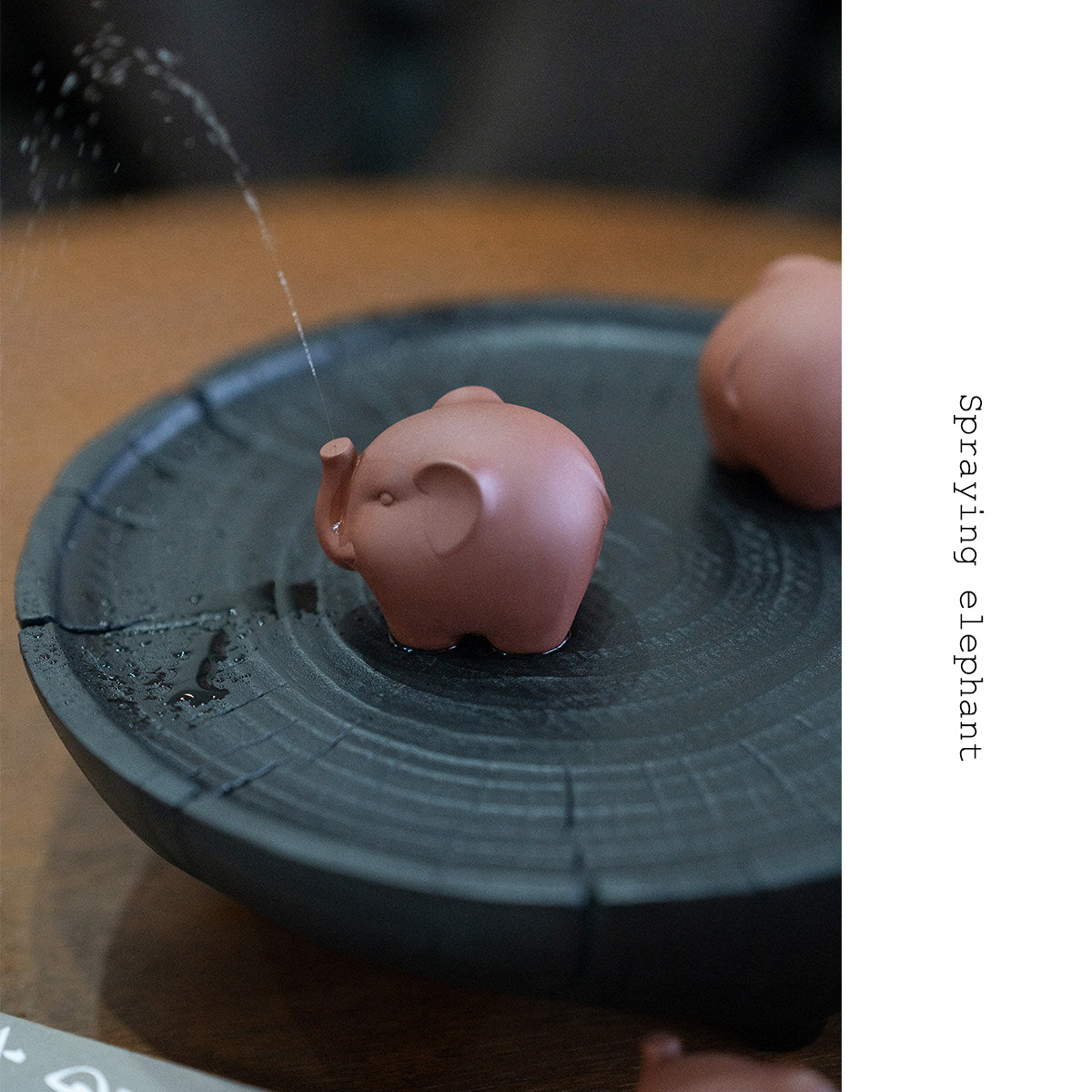 Spraying Tea Pet
